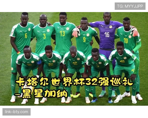 加纳国家队世界杯参赛历史回顾 加纳国家队世界杯参赛历史回顾